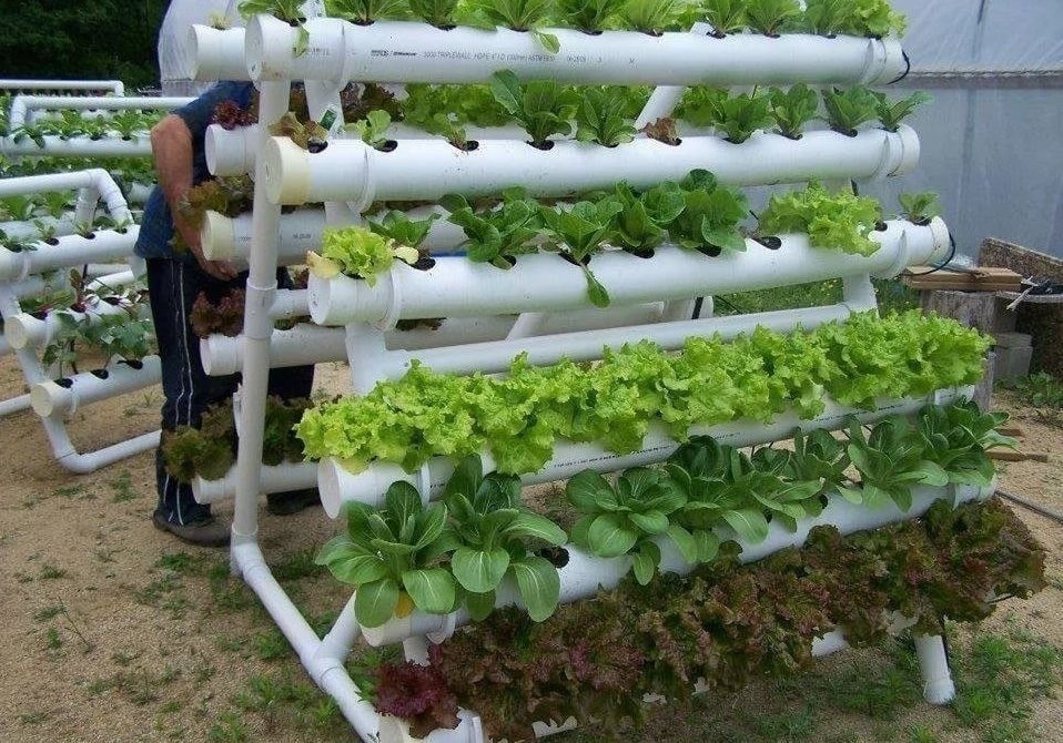 Идеи для дачи из пластиковых труб