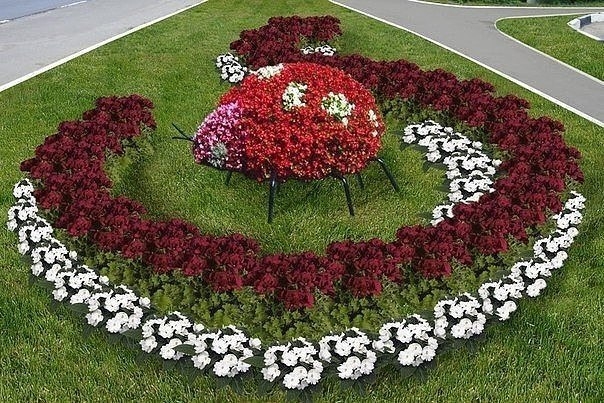 Креативные клумбы Креативные клумбы