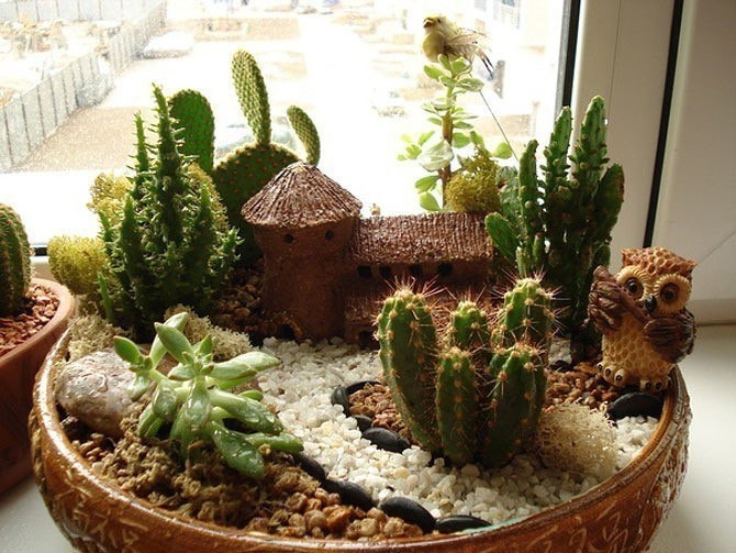 Волшебные мини садики.