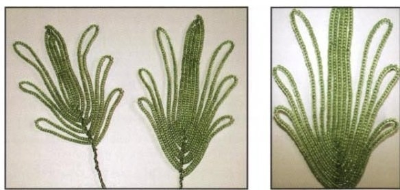 МК Анемоны из бисера