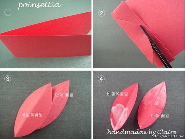 МК Пуансеттия из бумаги