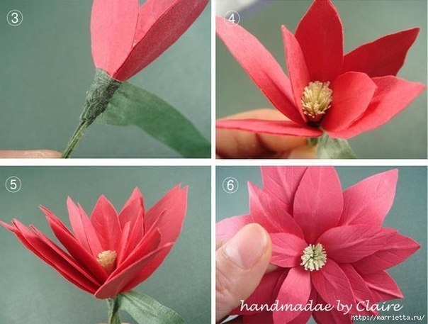МК Пуансеттия из бумаги