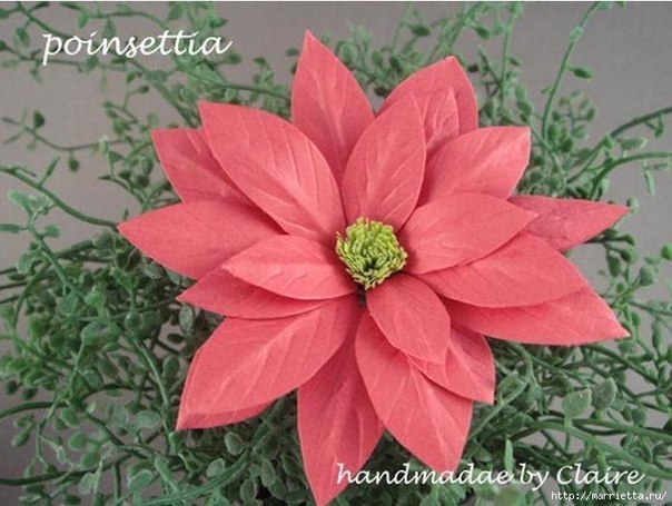 МК Пуансеттия из бумаги