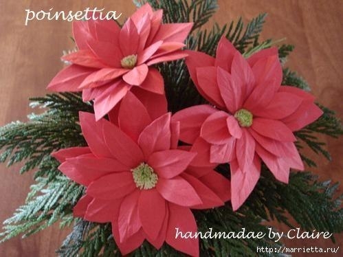 МК Пуансеттия из бумаги