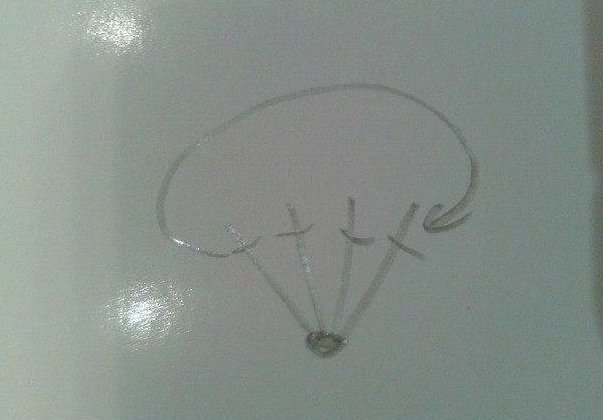 Пинетки Барашки