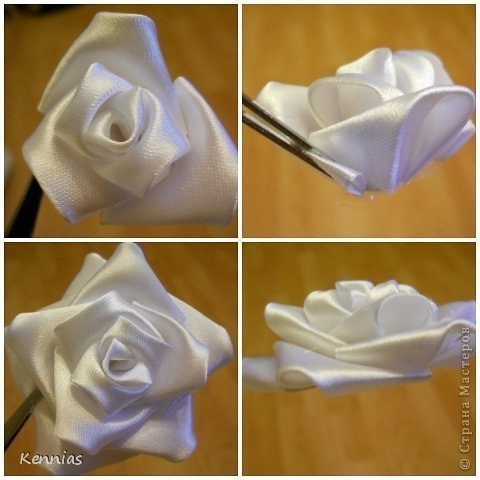 Роза-канзаши на стебле