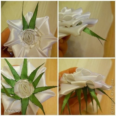 Роза-канзаши на стебле