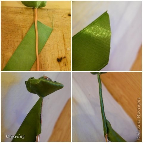 Роза-канзаши на стебле