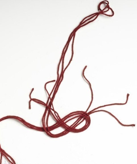 Морской узелок