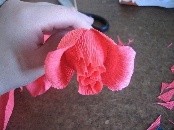 Роза из конфет Роза из конфет