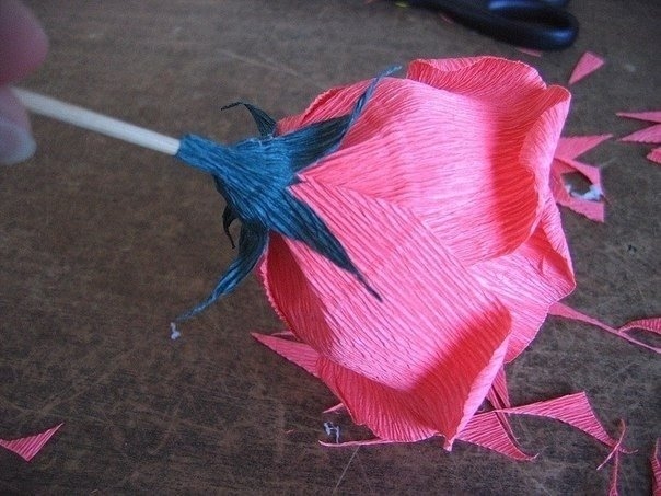 Роза из конфет Роза из конфет