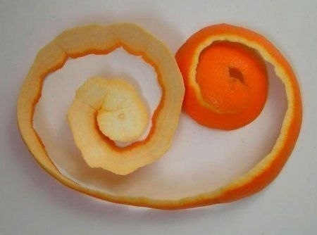 Апельсиновые розы