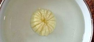 Делаем цветочек из лука для украшения стола Делаем цветочек из лука для украшения стола