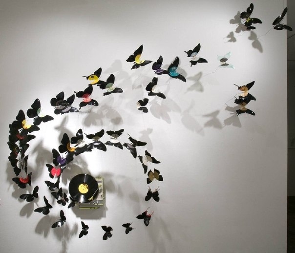 Бабочки как искусство