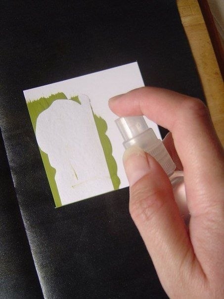 Перенос изображения с помощью акриловой краски. Перенос изображения с помощью акриловой краски.