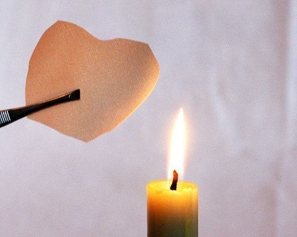 Нежная роза