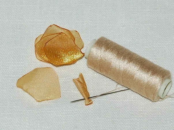 Нежная роза