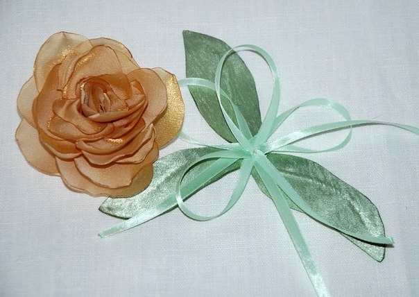 Нежная роза