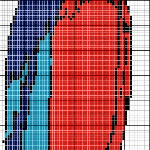 Шторка из бусин с попугаем.