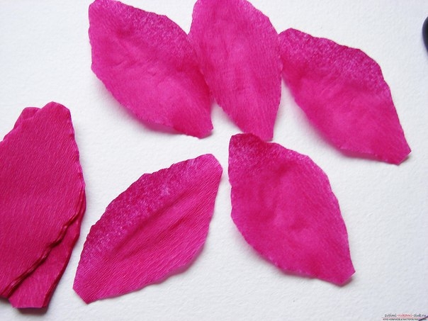 Бумажные гладиолусы Бумажные гладиолусы