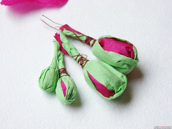 Бумажные гладиолусы Бумажные гладиолусы