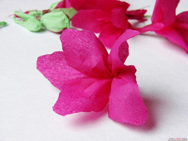 Бумажные гладиолусы Бумажные гладиолусы