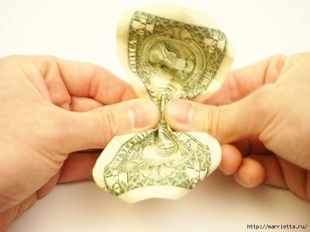 Денежные розы