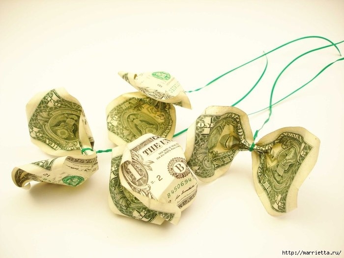 Денежные розы