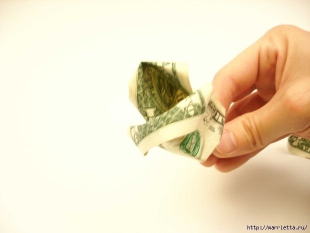 Денежные розы