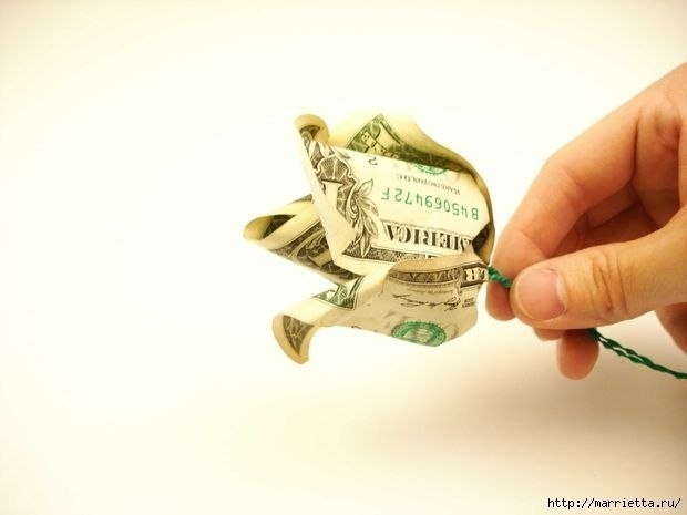 Денежные розы