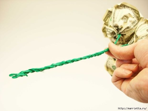 Денежные розы