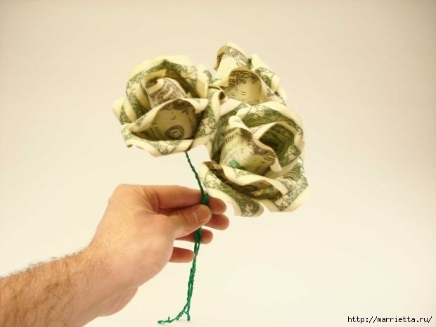 Денежные розы
