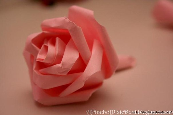 Роза из бумаги - необычный способ Роза из бумаги - необычный способ