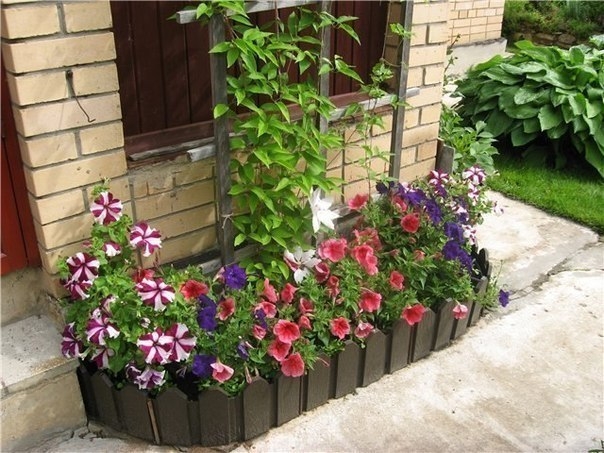 Идеи для дачи и сада. Клумбы.