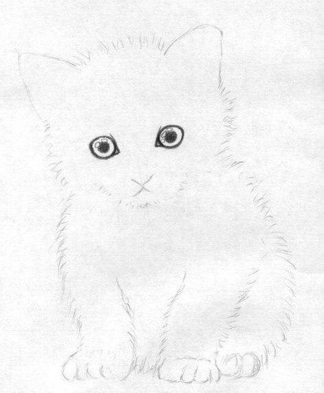 Рисуем маленького котенка