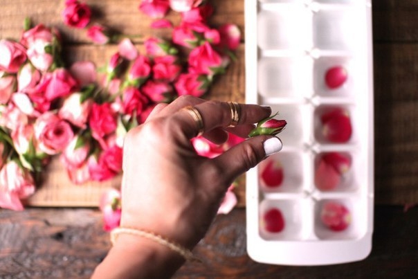 Цветочные кубики льда