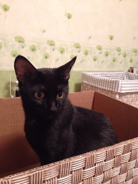 Короб для белья... и не только