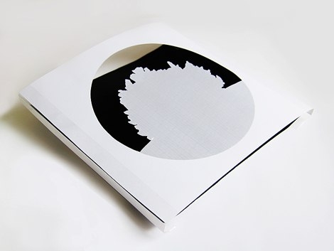 Лебединое озеро - бумажный туннель