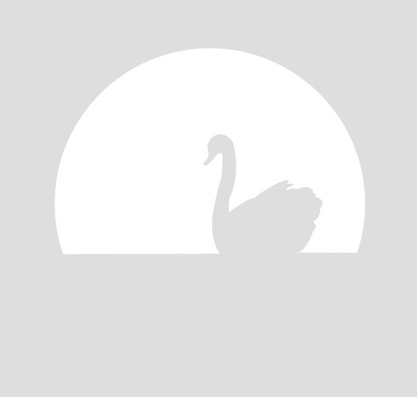 Лебединое озеро - бумажный туннель