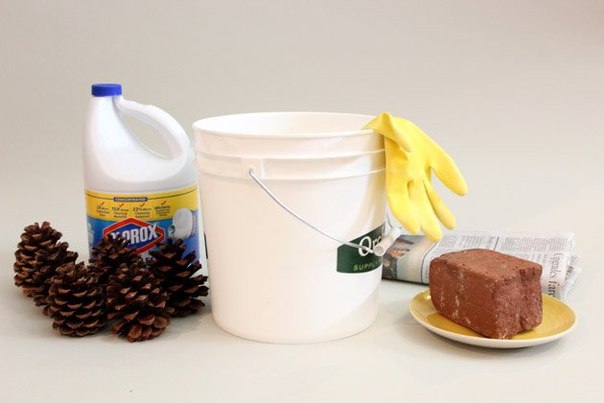 Как отбелить сосновые шишки