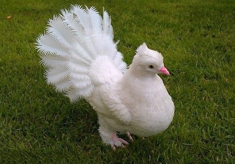 Голубь из пластиковых бутылок