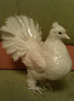 Голубь из пластиковых бутылок