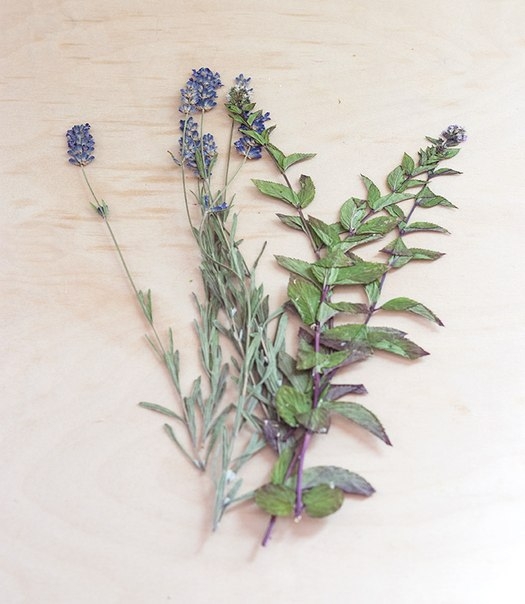 Свечи своими руками