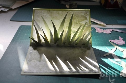 Pop открытка - бабочки