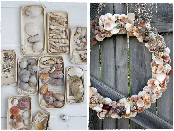 Как использовать ракушки привезенные с отдыха Как использовать ракушки привезенные с отдыха