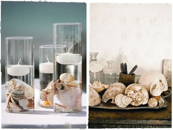 Как использовать ракушки привезенные с отдыха Как использовать ракушки привезенные с отдыха