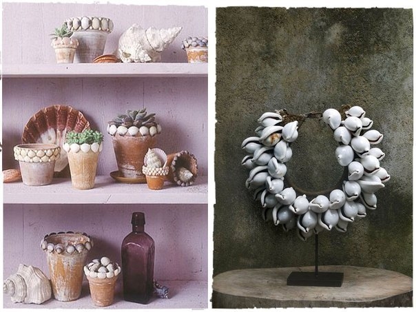 Как использовать ракушки привезенные с отдыха Как использовать ракушки привезенные с отдыха