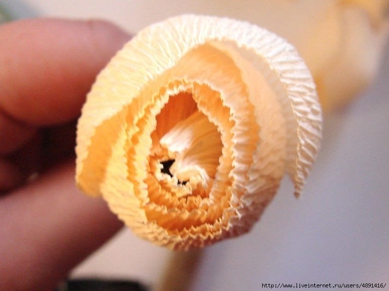 Английская роза из бумаги (мастер-класс)