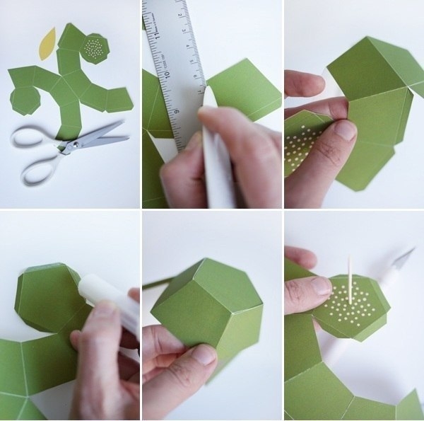 Коробочка яблоко Коробочка яблоко