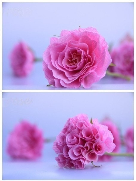 Цветы из гофрированной бумаги.